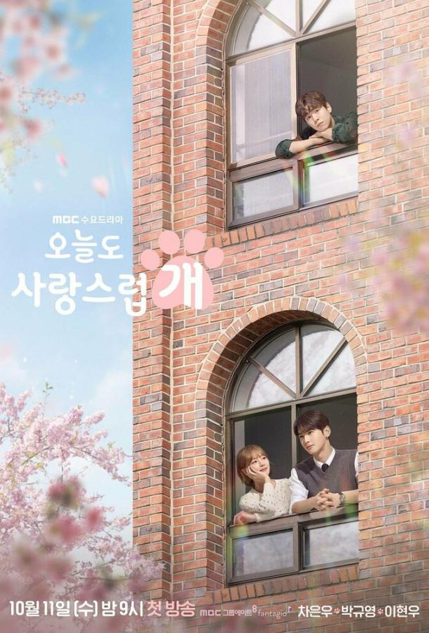 Отличный день, чтобы стать собакой (2023) онлайн бесплатно