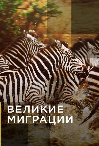 Великие миграции (2010) онлайн бесплатно